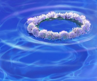 Blumenkranz auf Wasser