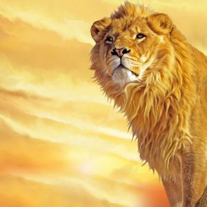 Majestätischer Löwe bei Sonnenuntergang