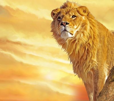 Majestätischer Löwe bei Sonnenuntergang