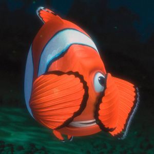 Clownfisch unter Wasser