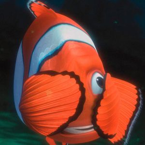 Clownfisch unter Wasser