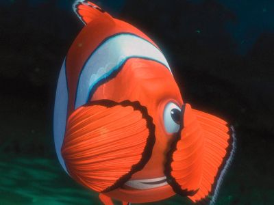 Clownfisch unter Wasser