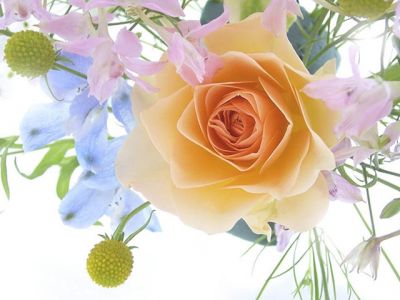 Schöne Blumenarrangement