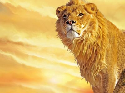 Majestätischer Löwe bei Sonnenuntergang