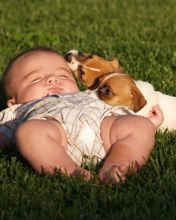 Baby und Welpen