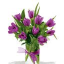 Lila Tulpenstrauß