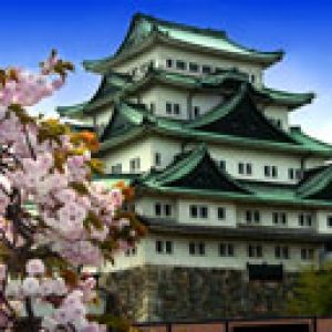 Nagoya Schloss mit Kirschblüten