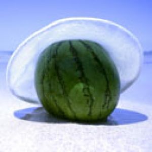 Wassermelone am Strand