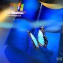 Windows Schmetterling Hintergrund