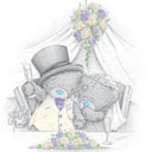Hochzeitsbären Illustration
