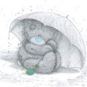 Süßer Bär mit Regenschirm