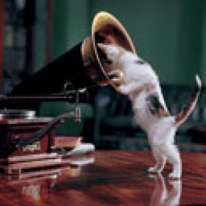 Katze Hört Grammophon