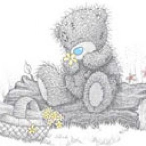 Niedlicher Teddybär mit Blume