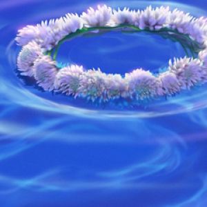 Blumenkranz auf Wasser