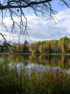 Herbstliche Reflexionen auf einem See