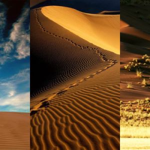 Gelassenheit der Wüstenlandschaft