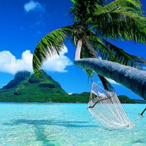 Tropisches Paradies mit Palme