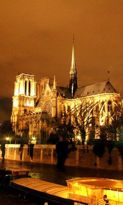 Kathedrale Notre Dame bei Nacht