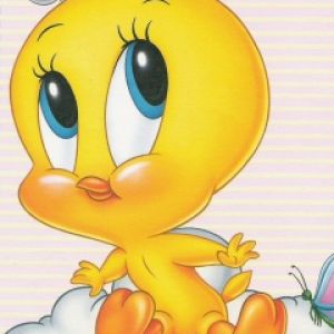 Tweety Vogel Cartoon