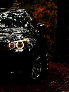 Elegantes Schwarzes Auto in der Natur