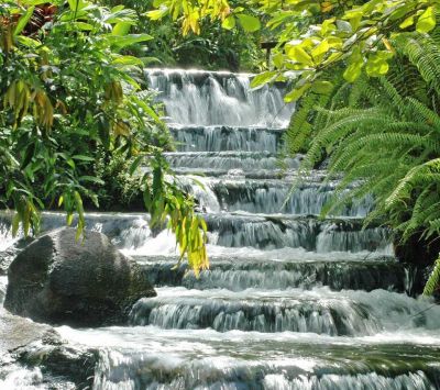 Ruhiger Wasserfall in Üppigem Grün