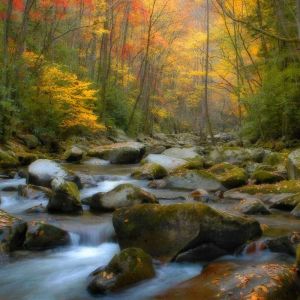 Herbstbach