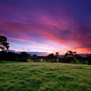 Beeindruckender Sonnenuntergang Über Grünen Feldern
