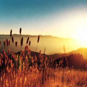 Goldener Sonnenuntergang über den Bergen