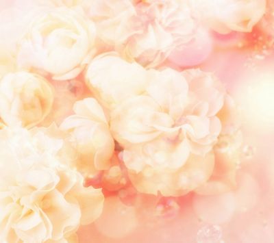 Sanftes Rosa Blumen Hintergrund