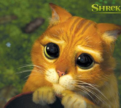 Puss in Boots aus Shrek
