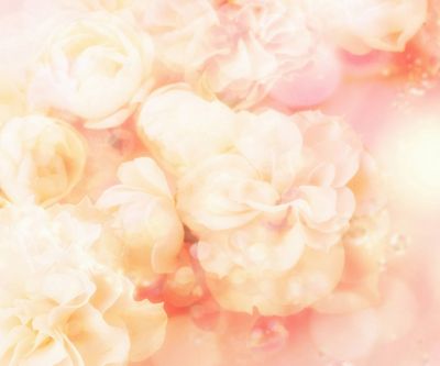 Sanftes Rosa Blumen-Hintergrund