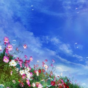 Buntes Blumenfeld