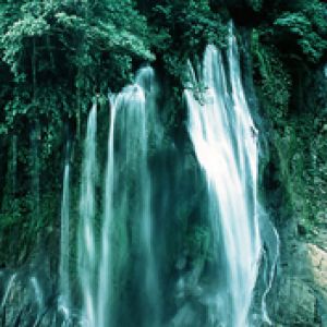 Ruhiger Wasserfall im Üppigen Wald