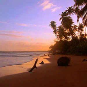 Tropischer Strand Sonnenuntergang