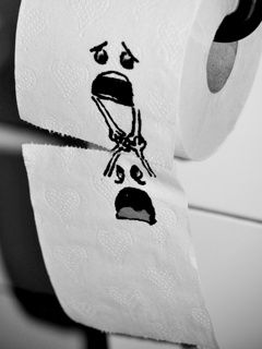 Lustige Toilettenpapierkunst