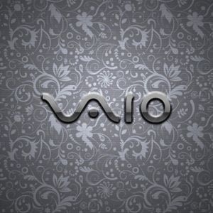 VAIO-Logo auf floralem Hintergrund