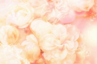Sanftes Rosa Blumen Hintergrund