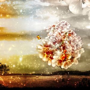 Verzaubernde Blumenlandschaft