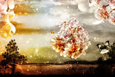 Verzaubernde Blumenlandschaft