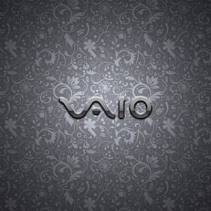 VAIO-Logo auf floralem Hintergrund