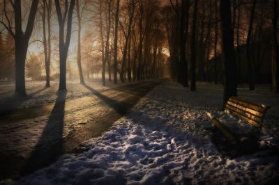 Nebeliger Winterweg im Park