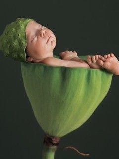 Schlafendes Baby in Lotus