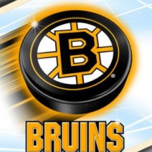 Logo der Boston Bruins