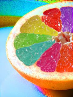 Bunter Obstscheibe