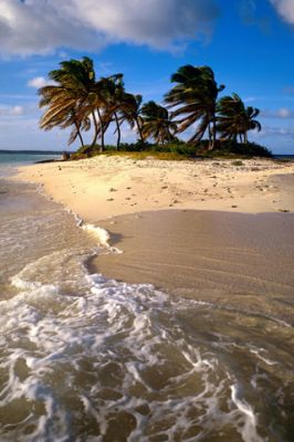 Tropisches Strandparadies