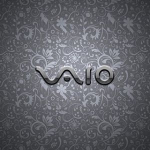 VAIO-Logo auf floralem Hintergrund
