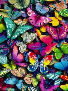 Bunte Schmetterlinge Hintergrund