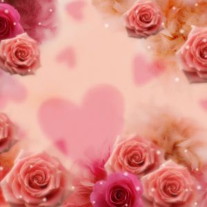 Romantische Rosa Rosen