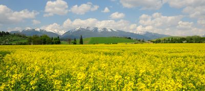 Schöne Berglandschaft