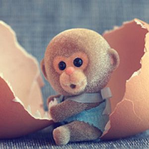 Niedliches Babyäffchen